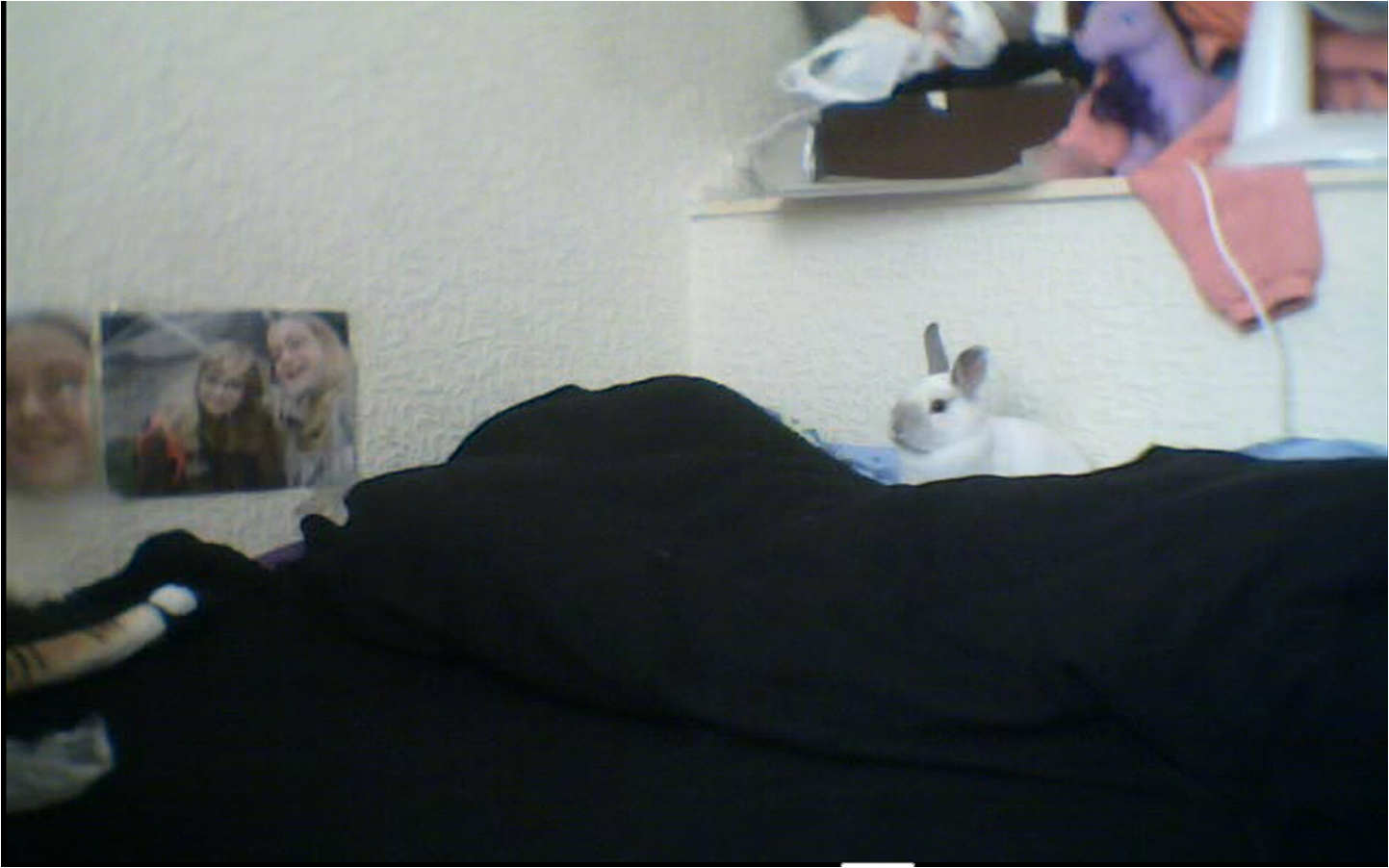Obrázek4